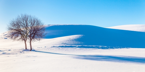 雪地写字生成器