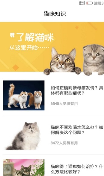 猫咪翻译器