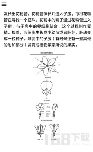 野外植物识别手册