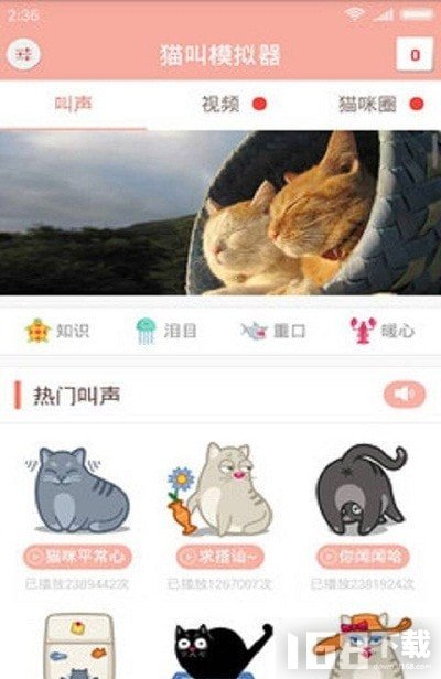 猫叫仿生器