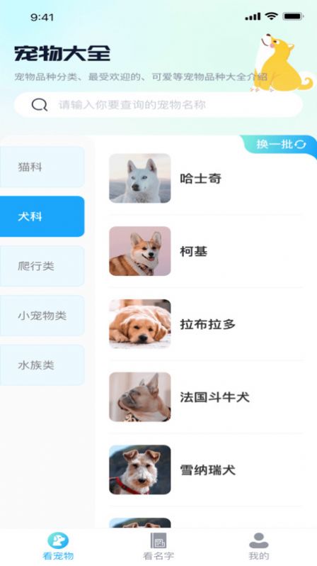 熊猫爱看app