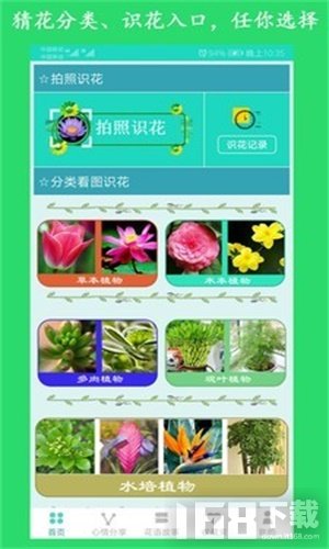 百度识图功能 植物图片