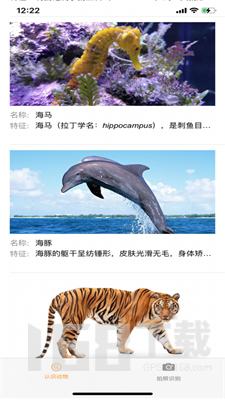 识别Animals