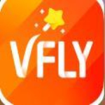 VFly 