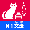 日语N1语法题集 