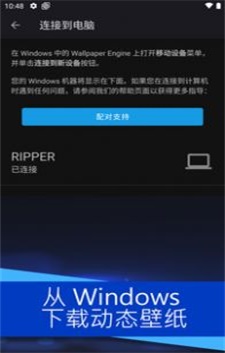 麻匪壁纸app