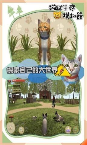 猫咪生存模拟器