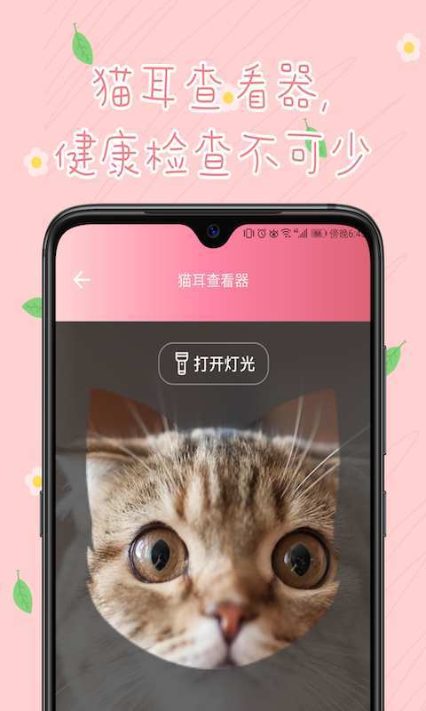 小猫翻译器