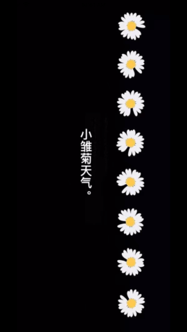 小雏菊天气