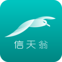 海信信天翁 