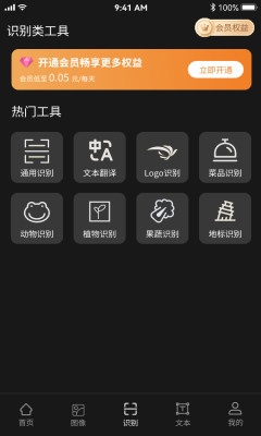 AI工具管家