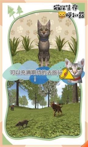 猫咪生存模拟器