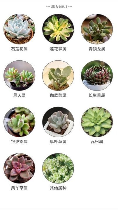 植物君