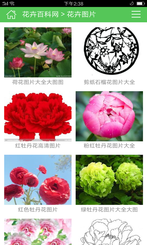 花苗大全