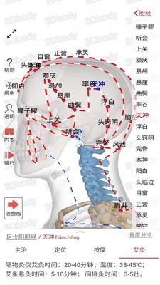 3D经络穴位