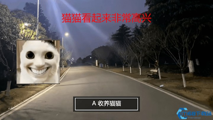 亲吻猫咪猫猫惊魂