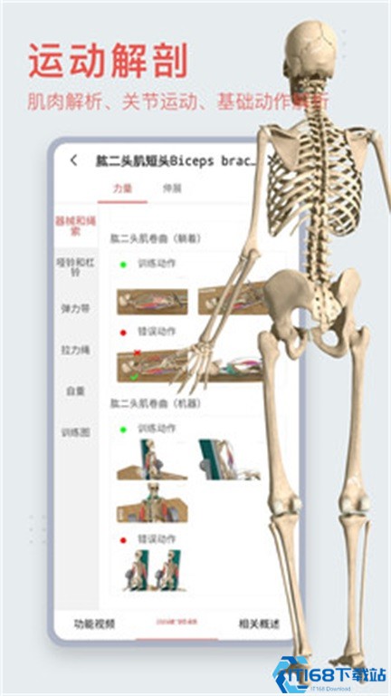 3dbody解剖免费版